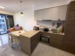 The Florence Residences (D19), Apartment #429835491